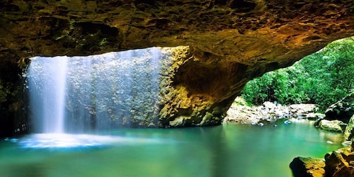 Brisbane: Rainforest, Waterfalls & Swimming in Gold Coast