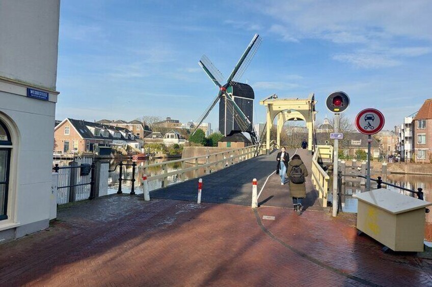 Private Half Day Leiden and Delft Tour