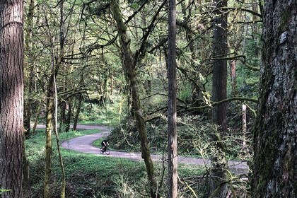 Forest Park Carbon Gravel Bike and E-Bike Tour