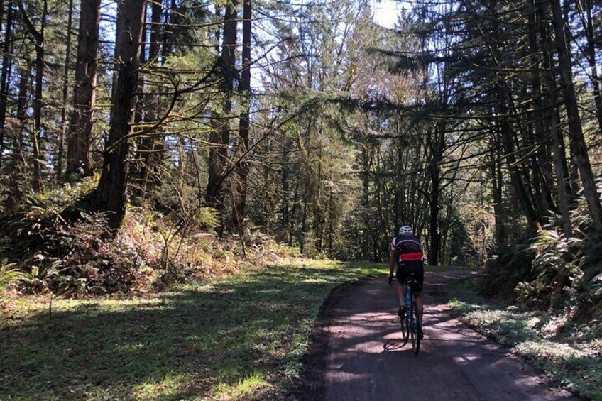 Gravel Bike Leif Erikson