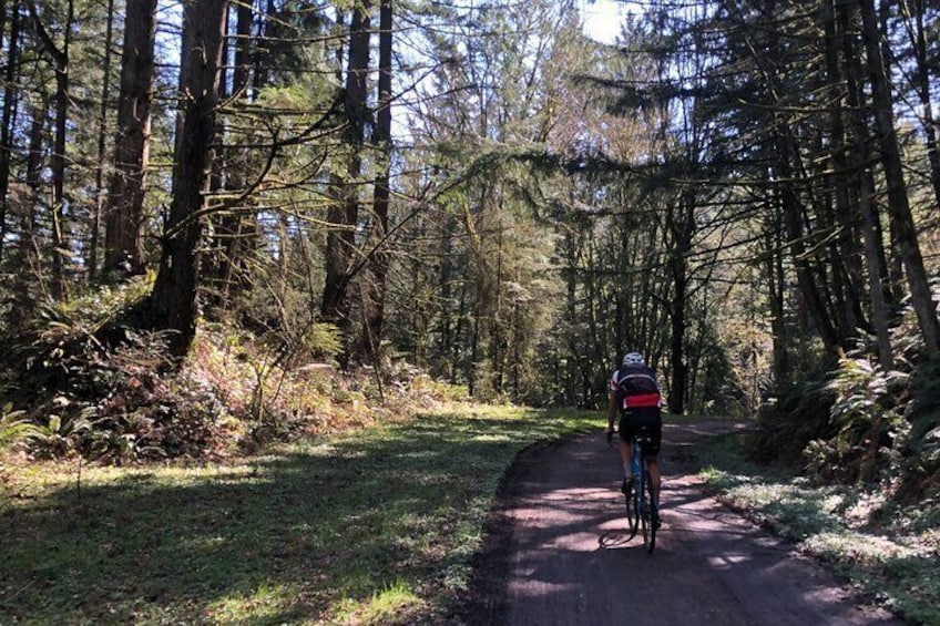 Gravel Bike Leif Erikson