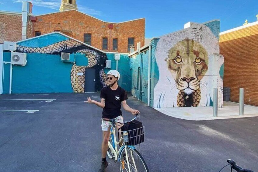 Bikes are the perfect way to explore Freo's Street art scene. 