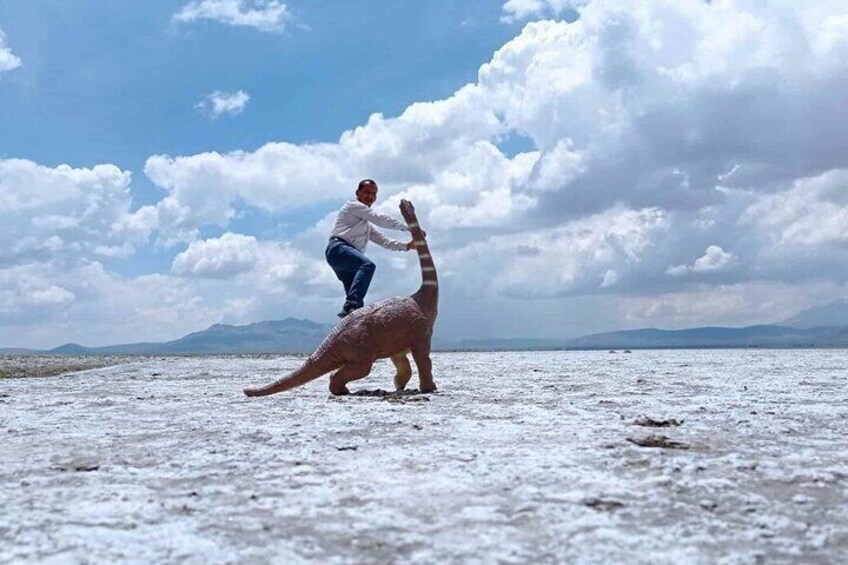 From Arequipa: Salinas Lagoon Half Day Tour