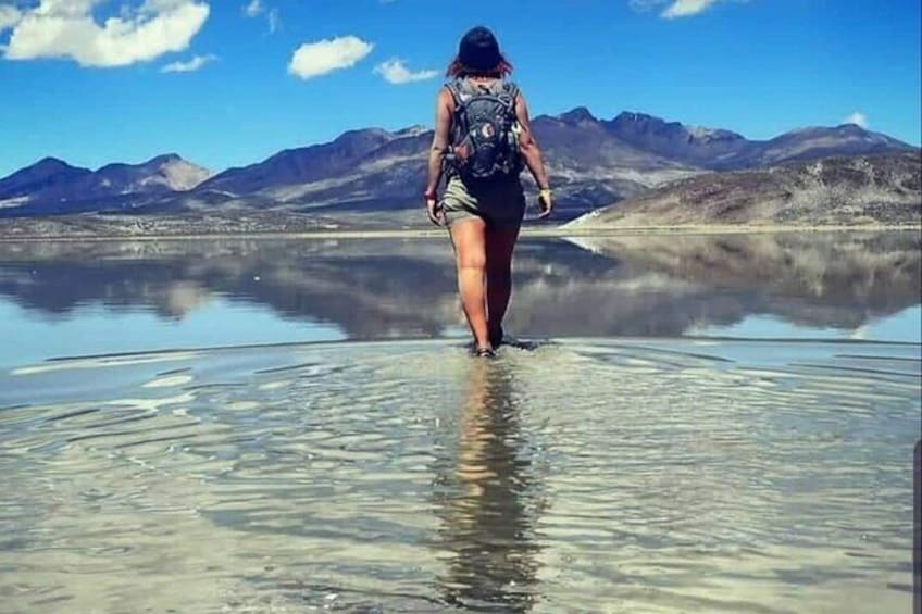 Salinas and Aguada Blanca Reserve Tour from Arequipa
