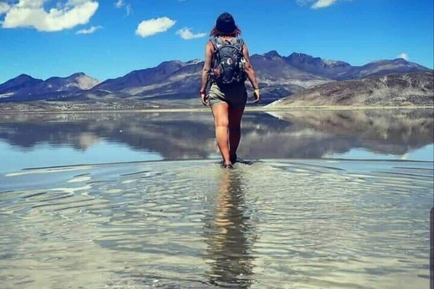 Salinas and Aguada Blanca Reserve Tour from Arequipa