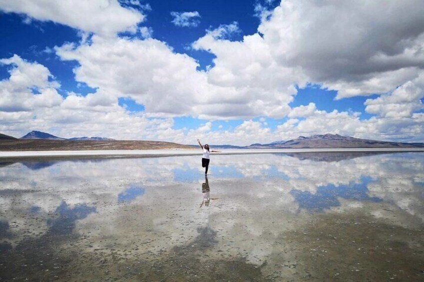 Salinas and Aguada Blanca Reserve Tour from Arequipa