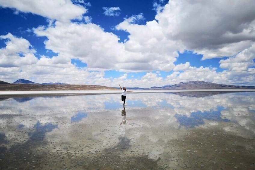 Salinas and Aguada Blanca Reserve Tour from Arequipa