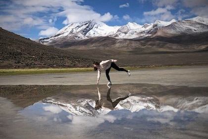 From Arequipa: Salinas Lagoon Half Day Tour