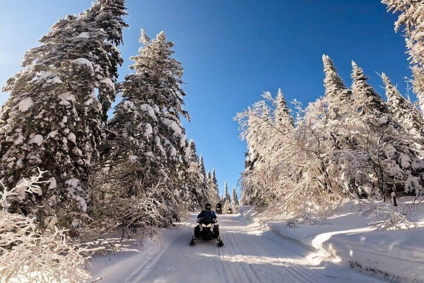 Guided Snowmobile Tours Upper Laurentians