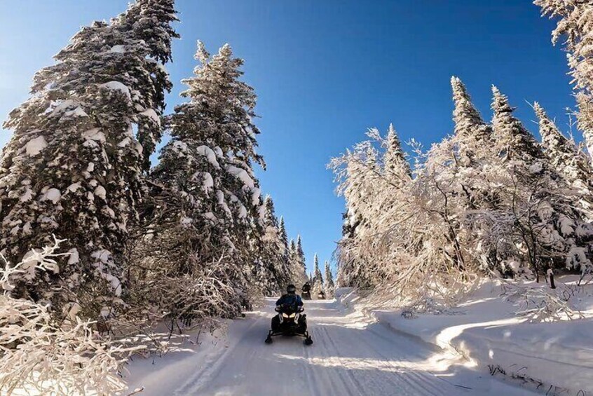 Guided Snowmobile Tours Upper Laurentians