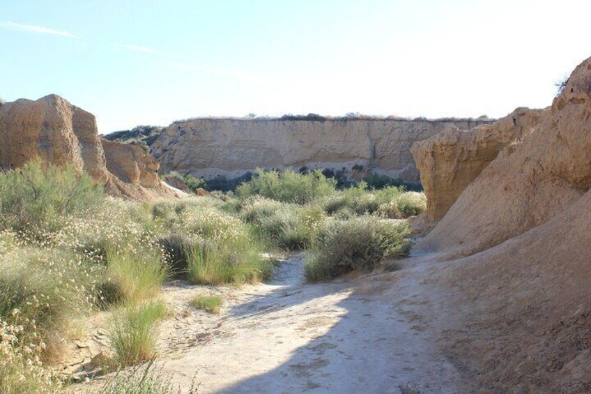 Official Guided Car Tour in Bardenas Reales