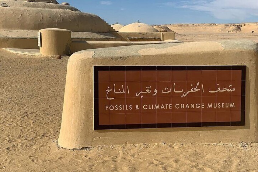 Fayoum Oasis Safari 4×4 Wadi El Rayan & Valley of the whales