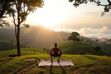 Namaste Sri Lanka 12-Day Wellness Retreat Tour