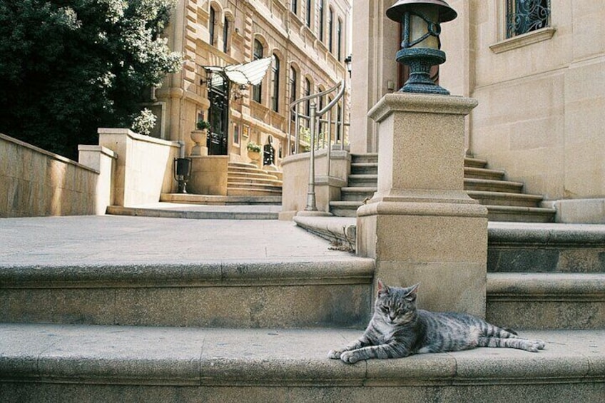 Baku Old City UNESCO Heritage Walking Tour