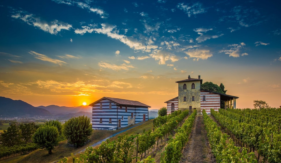 Show item 1 of 4. Franciacorta Wine Tasting & Shopping Tour from Bergamo