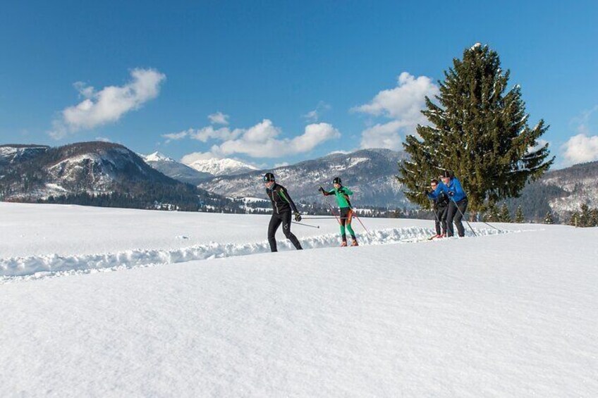 Individual Cross Country Skiing Lesson