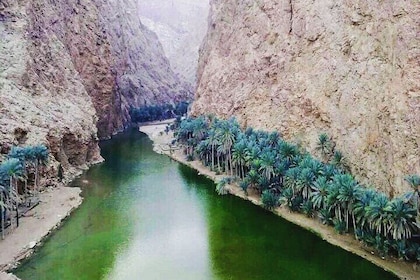 Wadi Shab Trek and Swim Adventure from Muscat