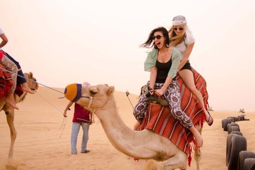 Private Dune Buggy Safari in Red Dunes up to 4 Persons 