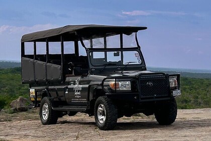 Full Day Kruger Safari Tour from Malelane and Komatipoort