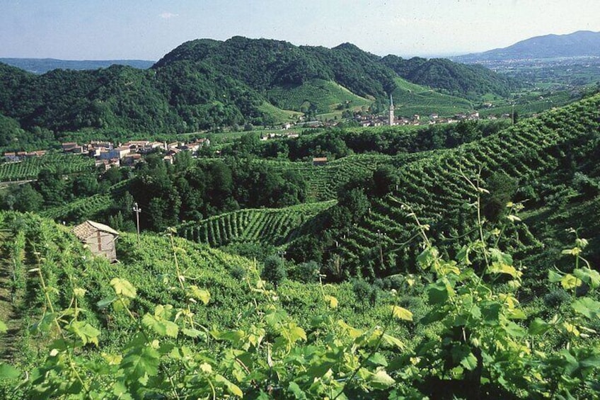 Exclusive Luxury Experience in the Prosecco Hills