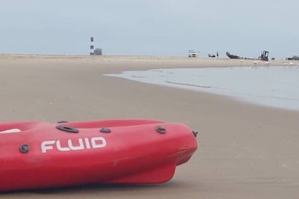 Seal Kayaking & Sandwich Harbour Tour