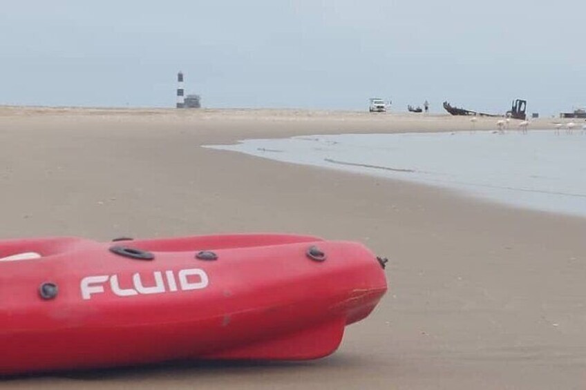 Seal Kayaking & Sandwich Harbour Tour 