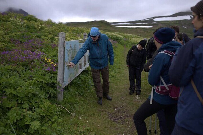 Day Trip Hike in the Nature Reserve Hornstrandir