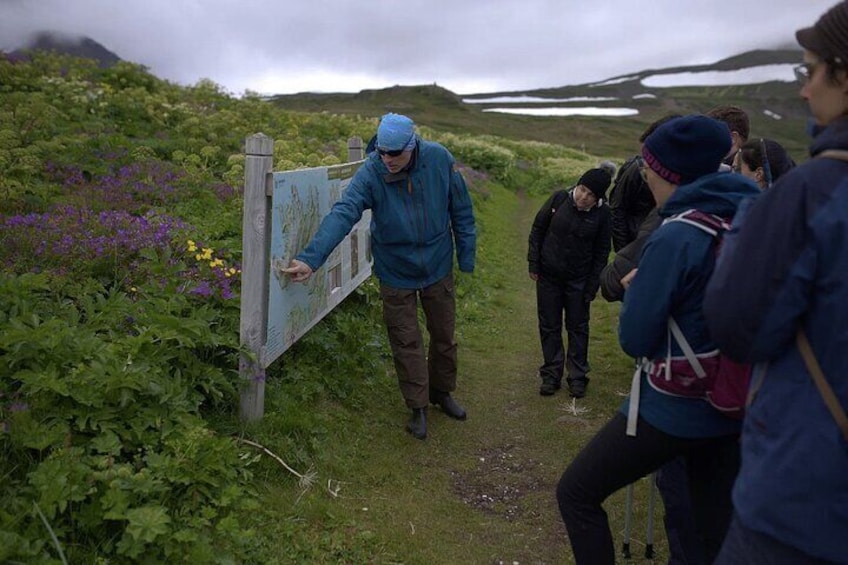 Day Trip Hike in the Nature Reserve Hornstrandir