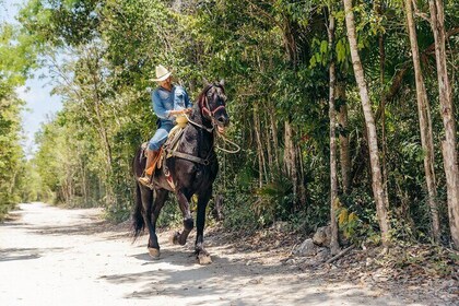 Tour Nature on horseback and cenote