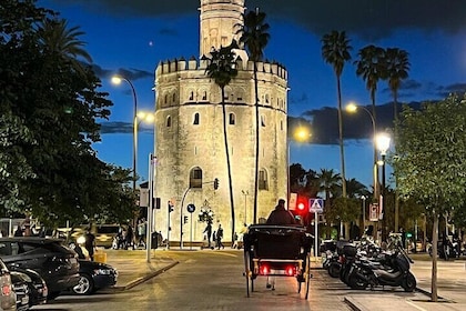 Seville Flamenco EBike Tour and Flamenco Show