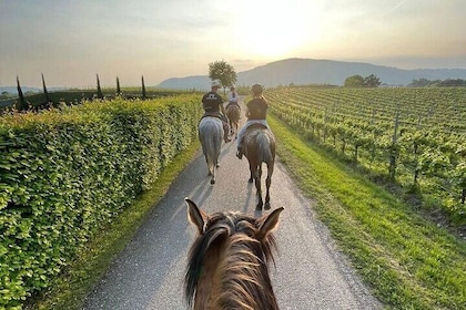 Private Horseback Riding Tour of the Vineyards in Verona with Wine Tasting