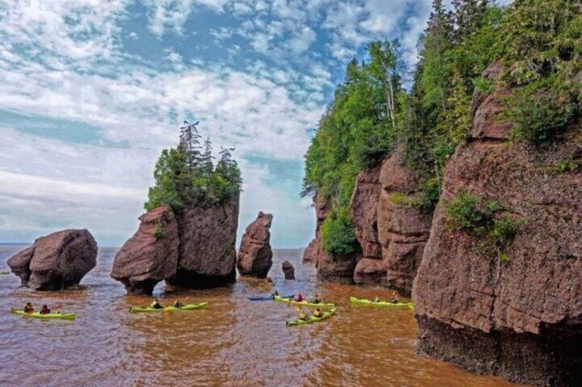 Saint John Bay of Fundy and Hopewell Rocks Private Tour