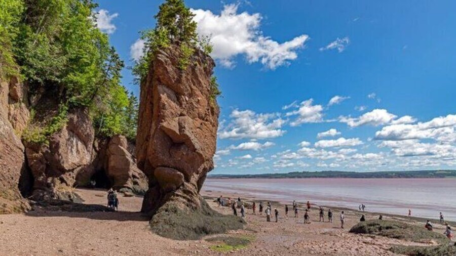 Saint John Bay of Fundy and Hopewell Rocks Private Tour