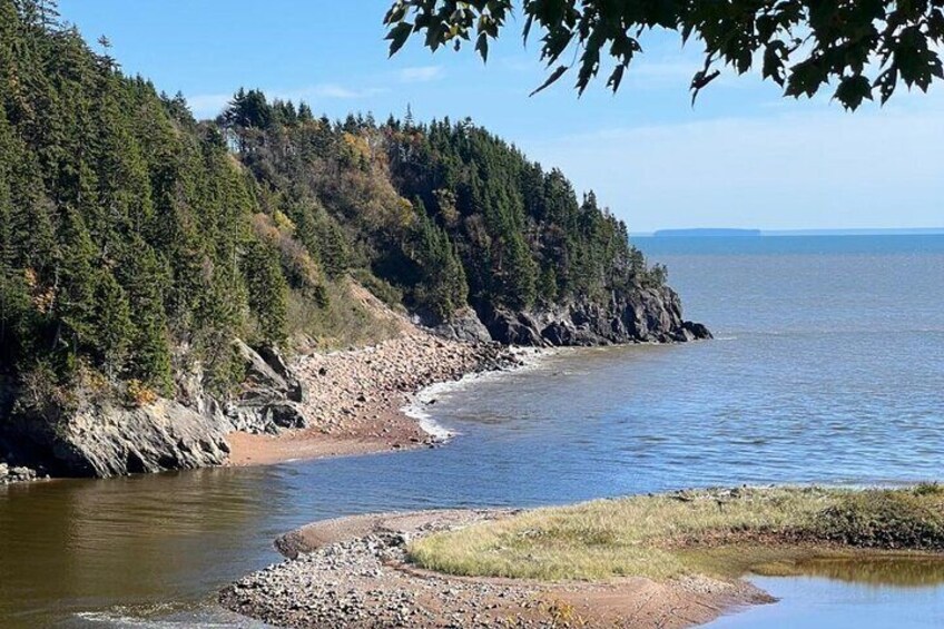 Saint John Bay of Fundy and Hopewell Rocks Private Tour
