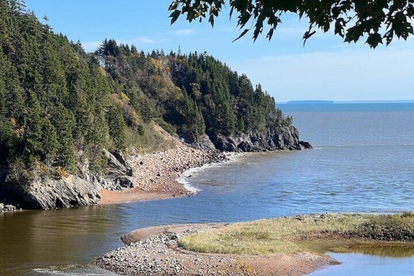 Saint John Bay of Fundy and Hopewell Rocks Private Tour