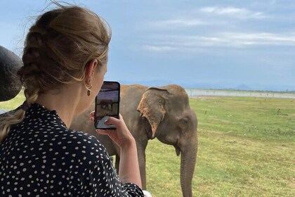 04 Hours Safari Jeep Tours