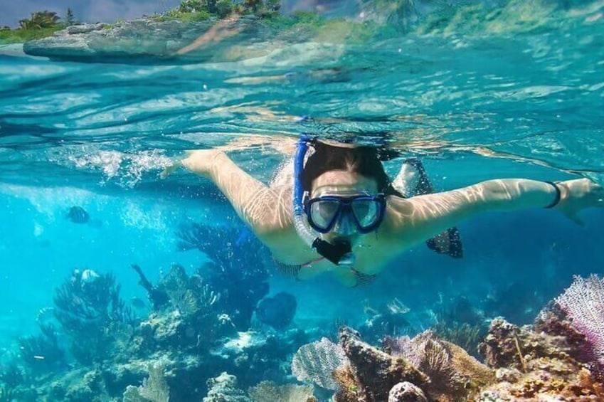 Catamaran Lazy Similan Islands Phuket with Snorkeling and Lunch