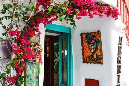 Plages et village semi-privé de Mykonos Sud Ville