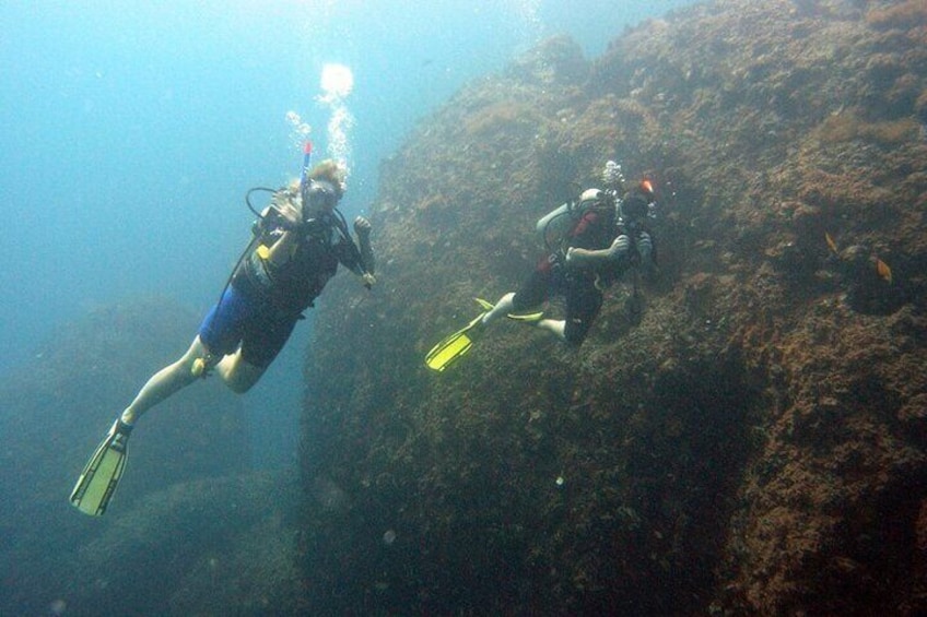 Scuba Diving 2 Dives from the Shore