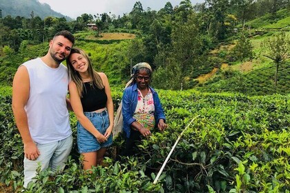 Ultimate 8 giorni Sri Lanka Avventura: Tour guidato privato