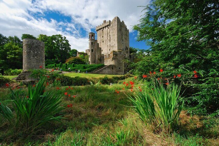  Full Day Tour Discovering Cork and Blarney, Ireland