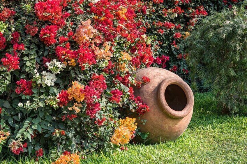 Skip the line Larco Museum Lima Private Tour and Tickets