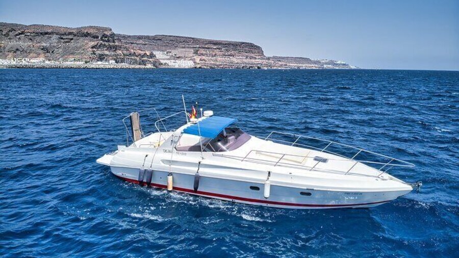 Private Boat Trip for up to 9 People in Puerto de Mogán