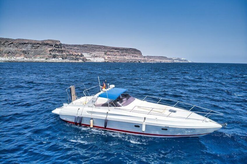 Private Boat Trip for up to 9 People in Puerto de Mogán