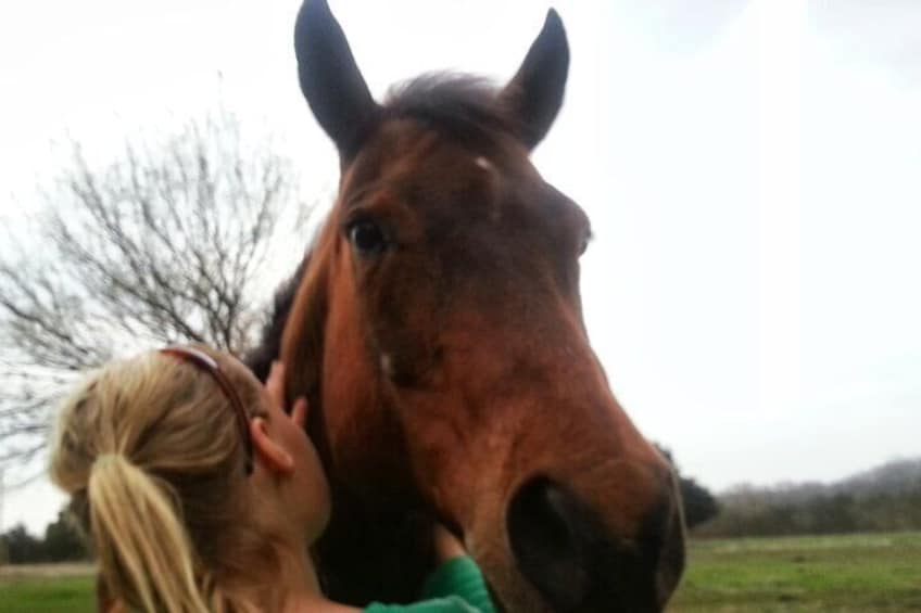Come enjoy the horses