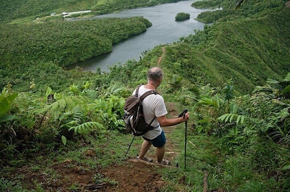 Wet and Rugged Dominica