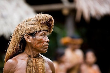 Amazon Expedition 4 Days of Rainforest Amazon from Iquitos