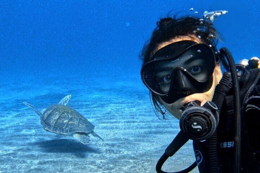 Open Water Course with Scubadivepro in Tenerife