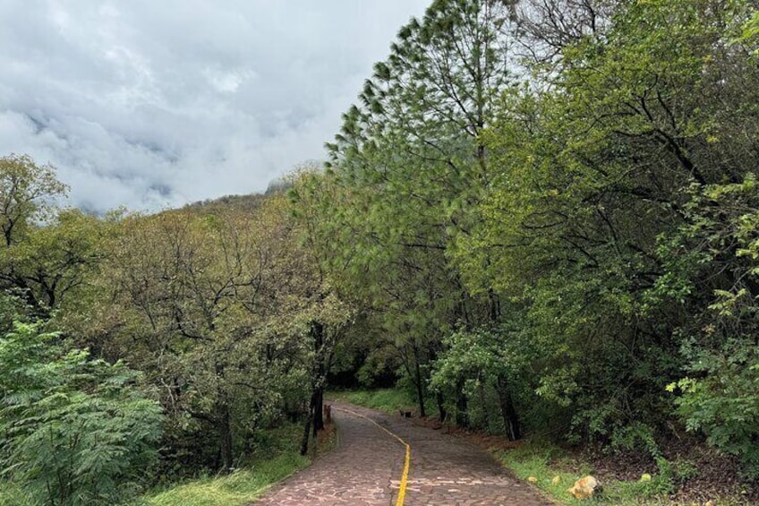Discover Estanzuela Natural Park