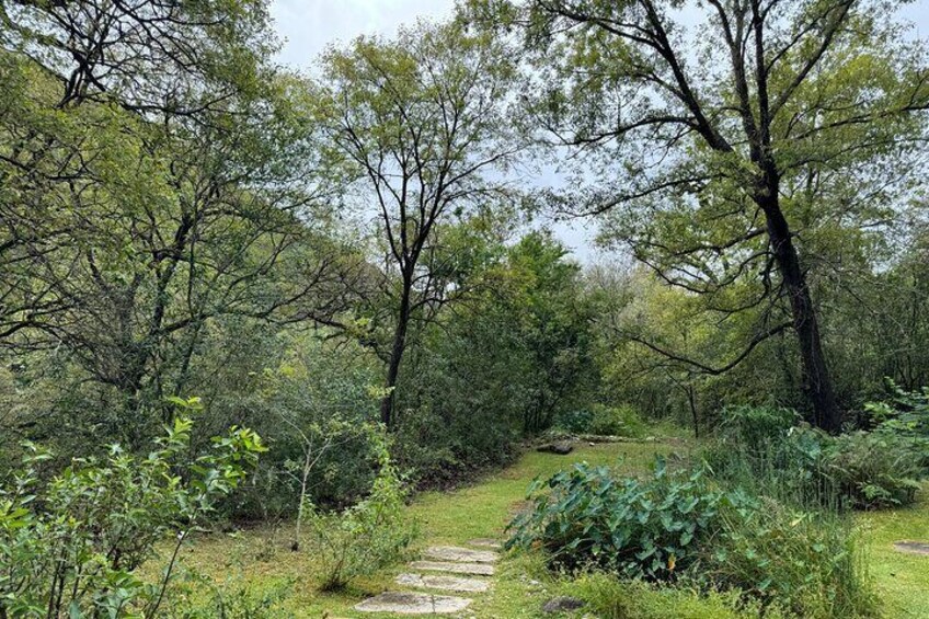 Discover Estanzuela Natural Park 